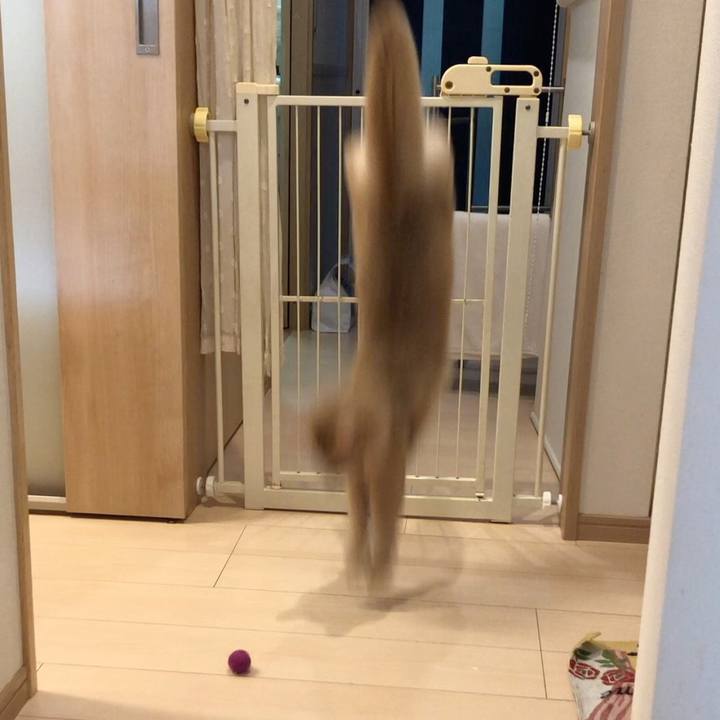 1f194ebe da11 4ea7 ae3a a1fcc0c457bb 1580224113454