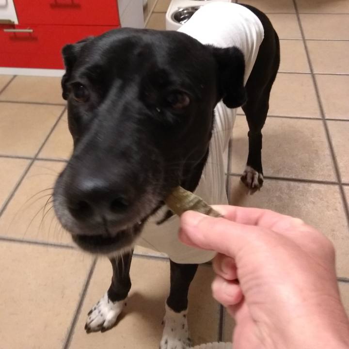 1f195ac5 43f0 4e5c a51d 99e56a650d6c 1618052381743