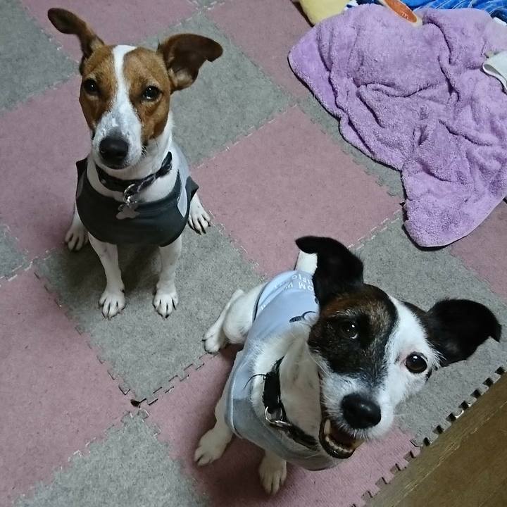 1f1969c0 da6b 43ff a1a2 b33710adc9c5 1536968447706