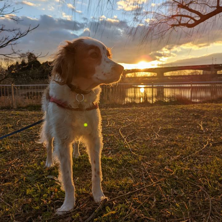 1f1a0b57 fd11 41f1 8448 dadce8dad6e8 1641555824355