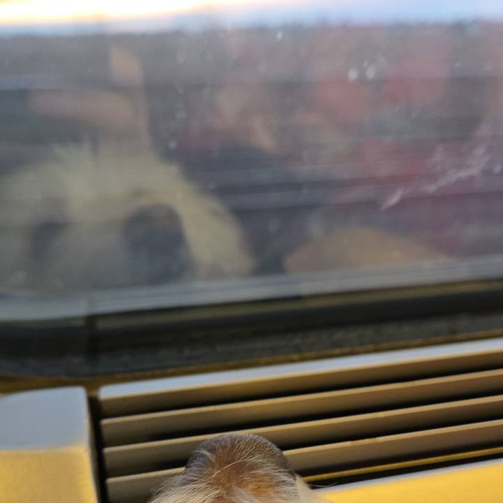 1f1a1aaa bee8 4c68 a797 87abad5d4b9b 1767541187422