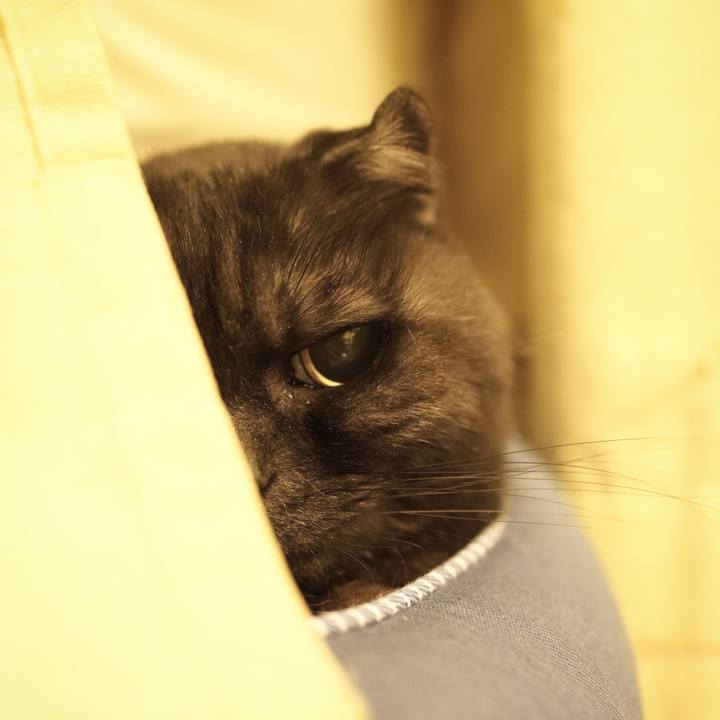 1f1a3ad9 107c 4129 88a4 b4a148337b4e 1644427467123