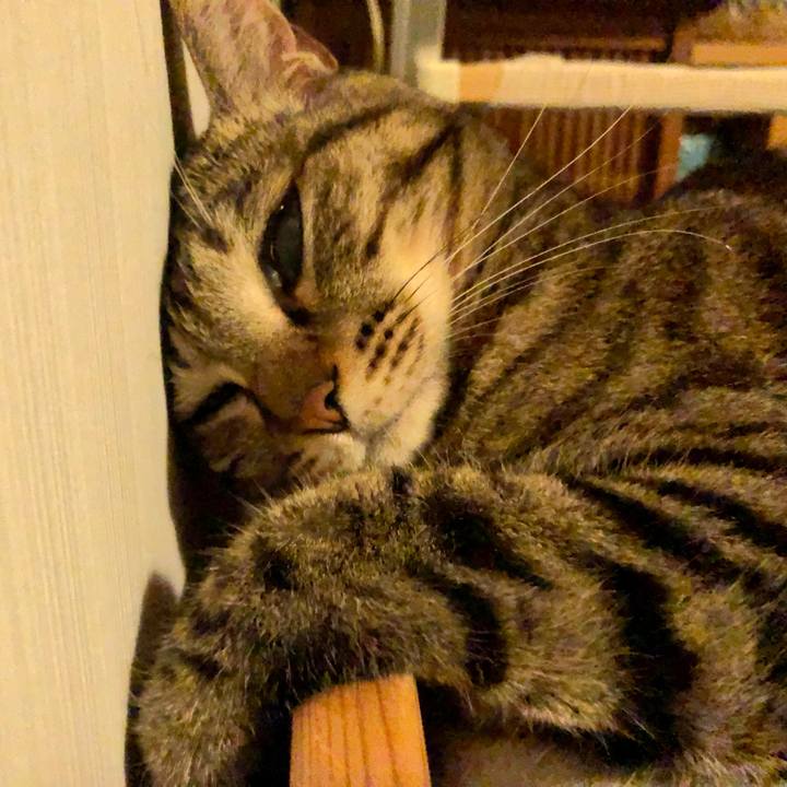 1f1a6072 9f0b 4e76 ac2e 55538c3e6d26 1636185167674