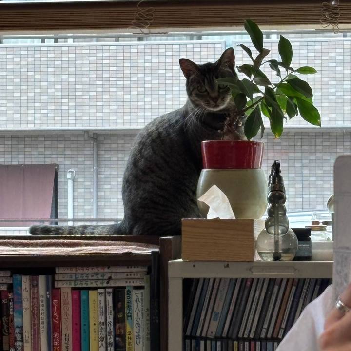 1f1a8d67 5ad9 4884 9c45 1bbcf06dd99c 1750290347928