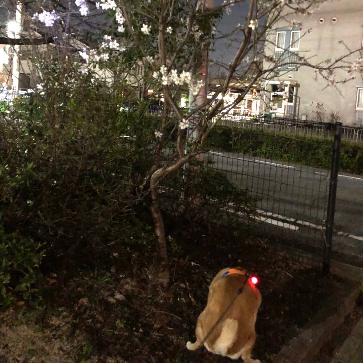 1f1a94c3 1494 49bf acc0 11009aab09fa 1583240006191