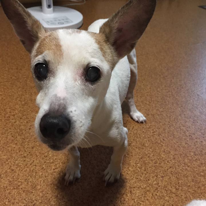 1f1a9caf 7cd4 4ce9 aec7 a00f017f53d0 1563103138300