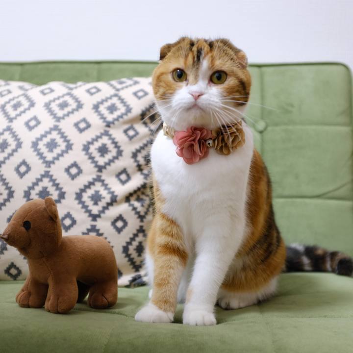 1f1ab958 1cf4 4b82 823d 773b106998e2 1529589505987