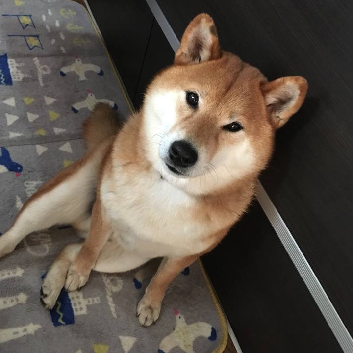 1f1ac22e aac6 405f aec1 22db502d9630 1559187603443