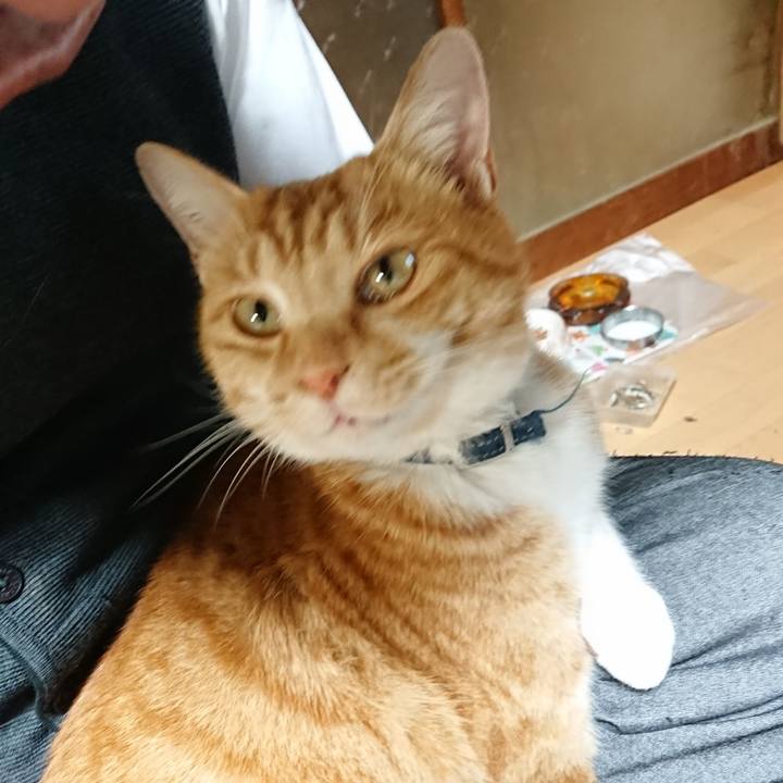 1f1ac545 03d8 4655 b11f 09befc05553e 1606208435986