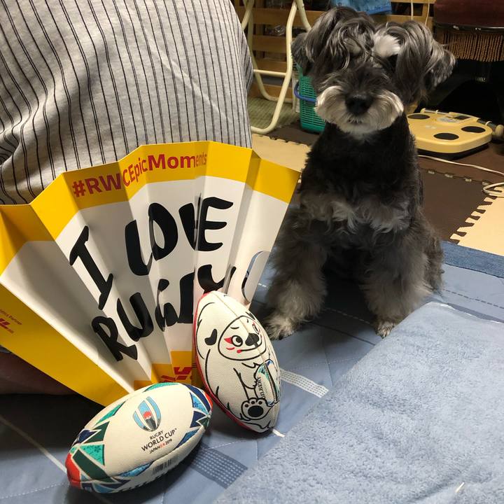 1f1ac9d7 09bb 41ca a11a 8b8e4aa0a1cc 1698926343880