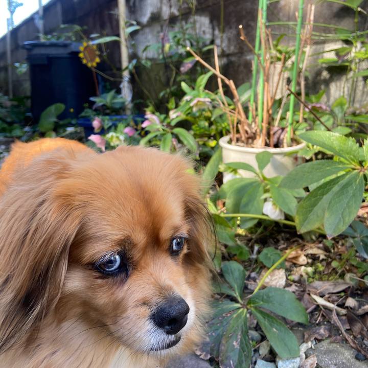 1f1b25d9 843e 4575 9904 251d2830c820 1647649968710