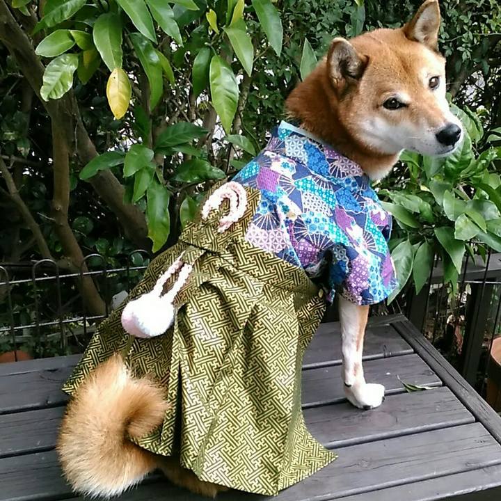 1f1b3c2a 0e5d 4790 a302 32fcb84afc53 1573695530290