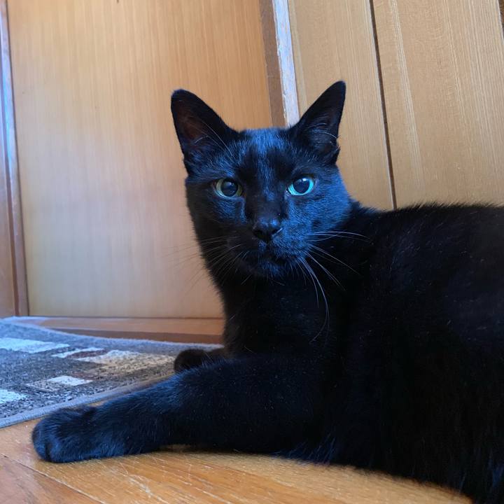 1f1b42bc f61e 4712 8e13 16780a605f97 1540603079006