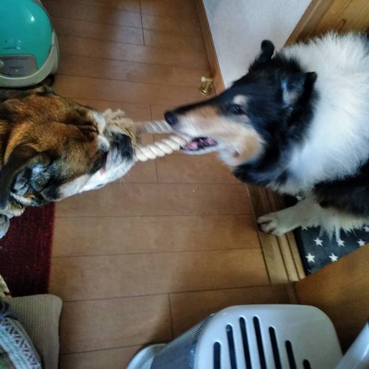 1f1b5694 8510 4329 b279 80ae3acc701e 1519819427359