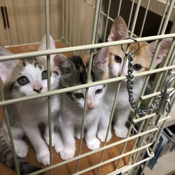 1f1b665a f44e 43e1 beb2 88e187f74daf 1572253297189