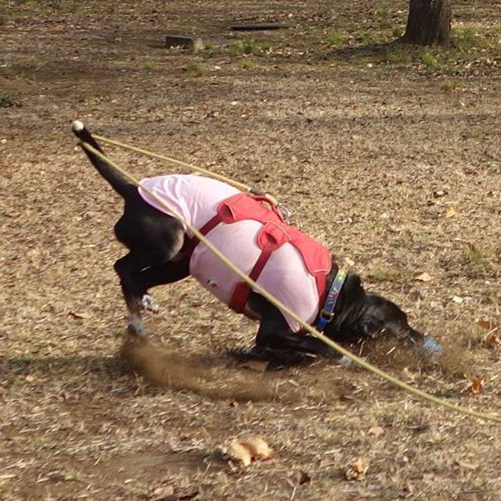 1f1bdcea 0b2c 4ec4 a84c 6821fab93b84 1675476184957