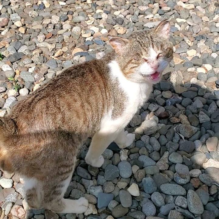 1f1bf287 e18a 490a 8bd7 6c615f4a36f2 1720527276671