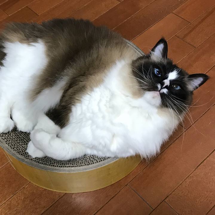 1f1c60a2 8803 41aa a168 f893d8e43051 1524038250826