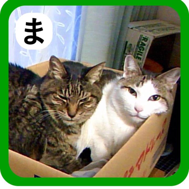 1f1c9fa9 ac57 4ef3 a5ac 82b2e7f839b0 1514805392268