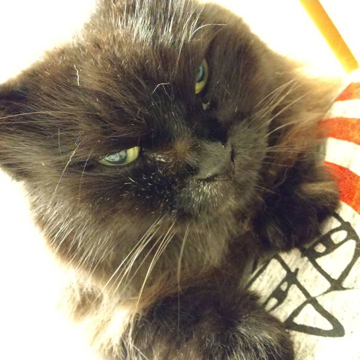 1f1ca821 2a9b 4bf5 8659 31505a95b35e 1599228982831