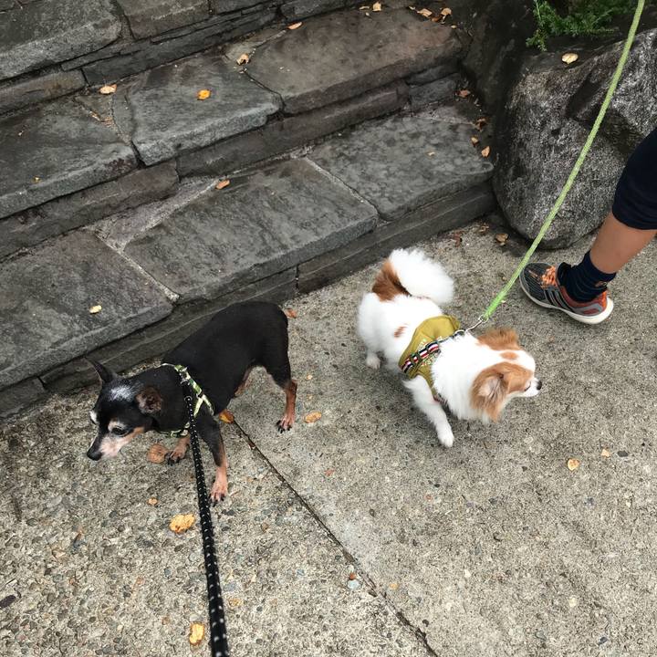 1f1cac2e e926 4bdb abdd 5c36f1e944b1 1566716750313