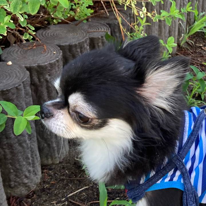 1f1cb156 9d58 4755 9fb9 56a5b9c7a951 1694357151178