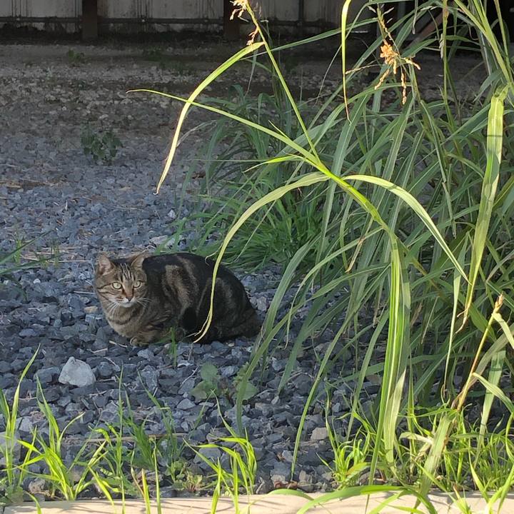 1f1ccb9f 0dc2 452c 9795 3e0df00cfae0 1575207274508