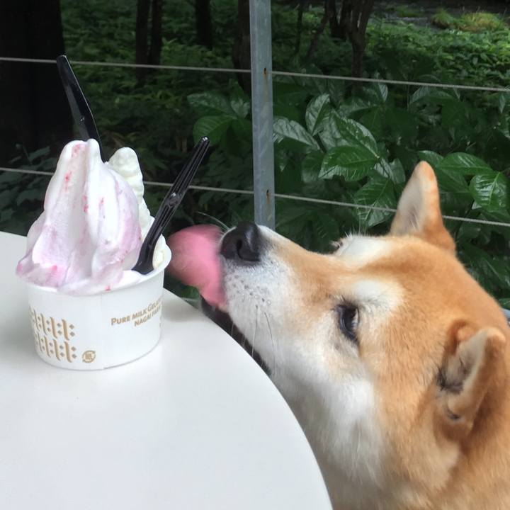 1f1cd4b2 64fb 4122 955b a6a9c1ebb6c8 1563715910424