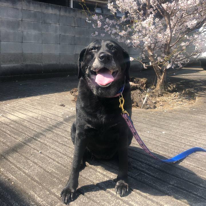 1f1ce9e8 7848 4a81 8499 279083f4bc56 1585188504752