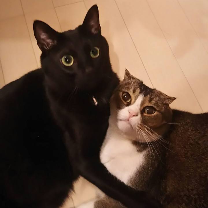 1f1cfe3e 8fbe 4731 9383 f265654ac353 1523105351622