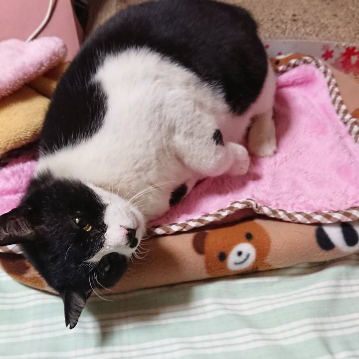 1f1d16e3 a6a2 4a09 94e7 073b021768ca 1573214323970