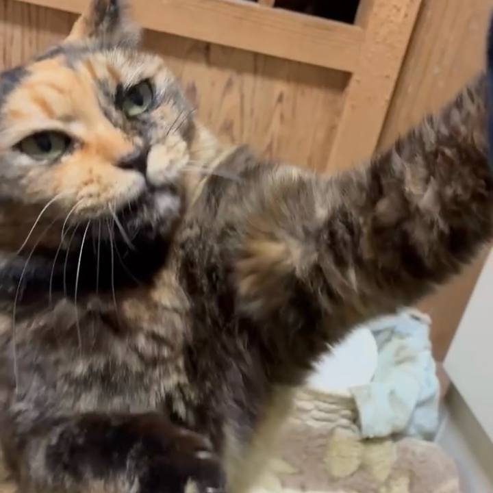 1f1d5872 5922 4ba2 9468 ed74784bae65 1769978787530