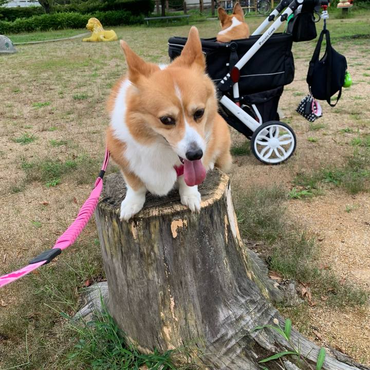 1f1d66d6 3f22 415d 8ee6 db97875d0edf 1625478963551