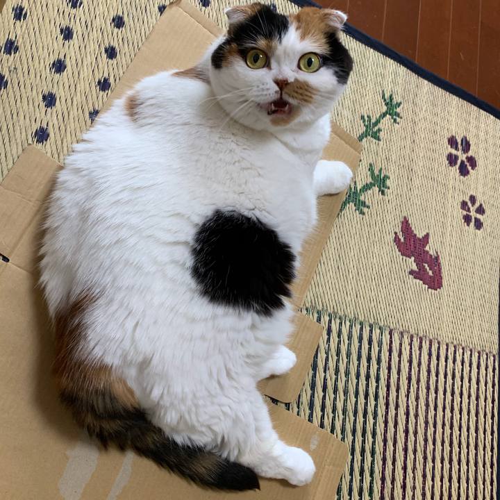 1f1da322 876b 4ac5 ae61 3fb0089af0e5 1568019473849