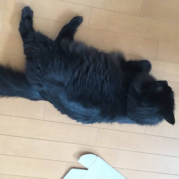 1f1daa2c 3990 4b81 875b aefd8be9fd79 1550374771884