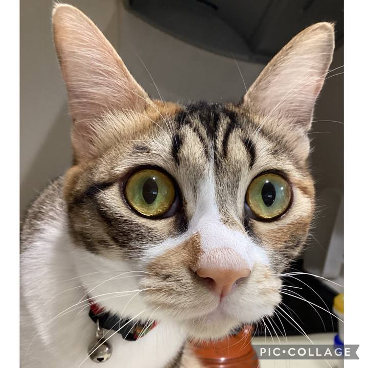 1f1df90b aa6d 4e03 ab20 b6ee26372fd1 1666403299305