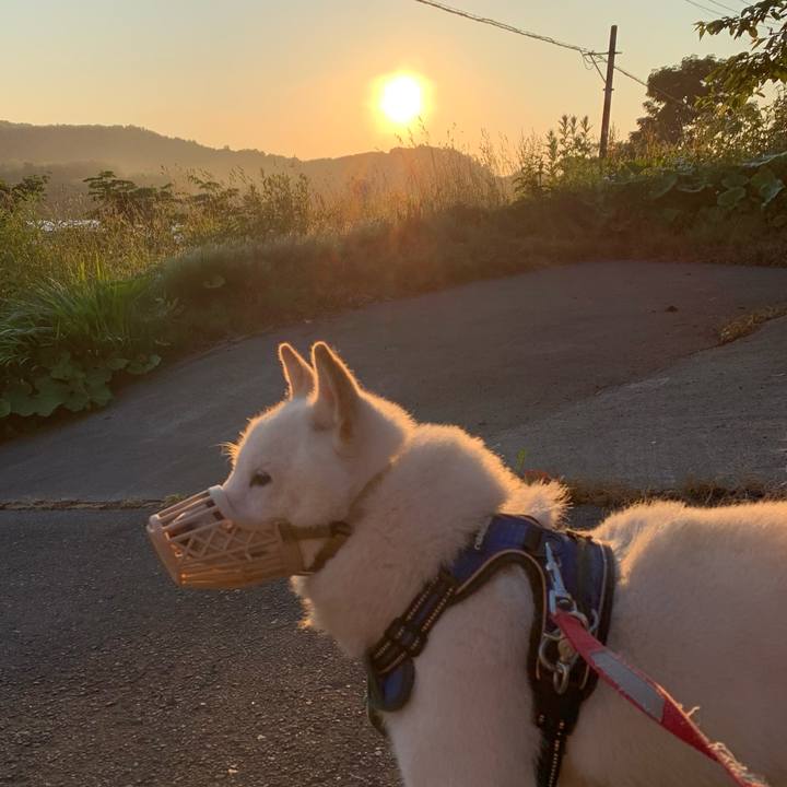 1f1e30e6 2761 40a8 baa8 9c51ea671c87 1624655117101