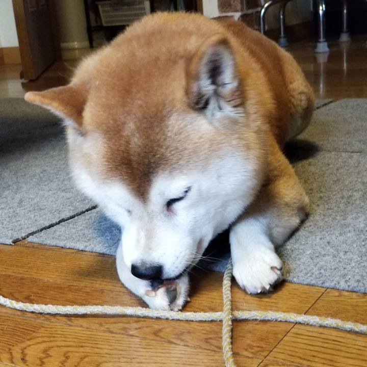 1f1e6f55 8fb2 47b1 83b4 a4cb2a7014b7 1639526192816