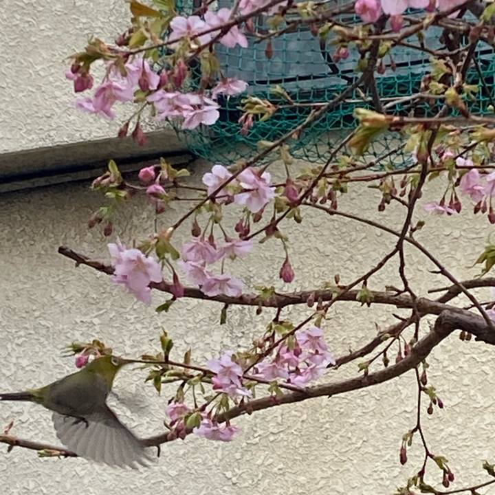 1f1e721e 832c 4369 9959 291f7bd809ac 1770277607639