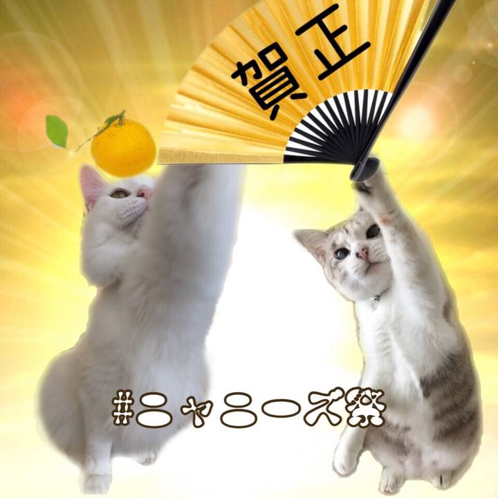 1f1e8e2e c48b 4222 9ff0 f45b7334674f 1546344008002