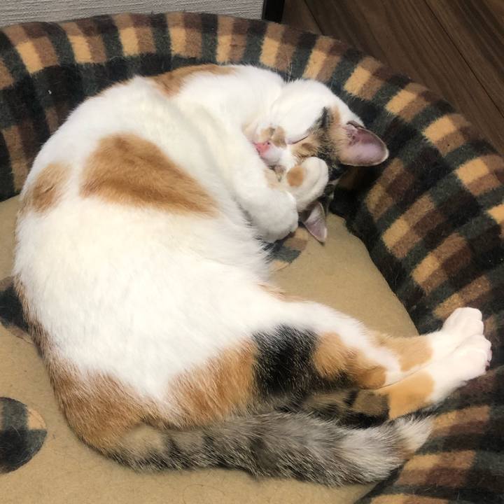 1f1f228d b59f 4a89 9c12 01bf35ba23c3 1580557820660