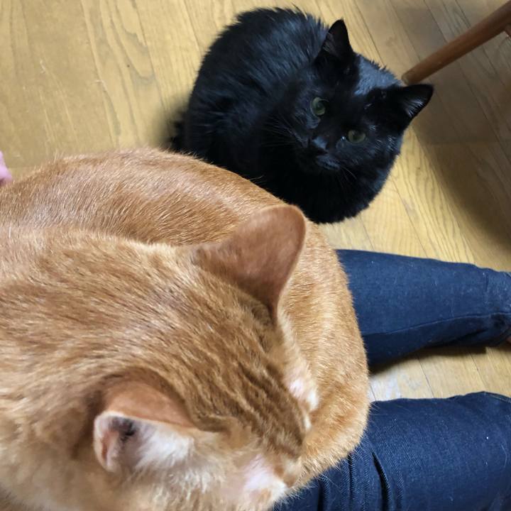 1f1f2884 8a77 4690 b68c 3d15ea2b04f2 1615896600922