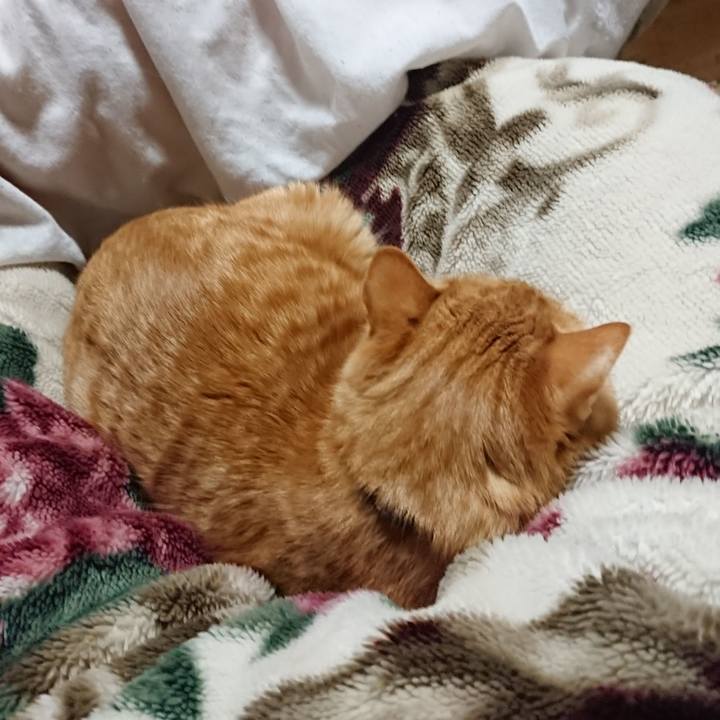 1f1f2d86 d248 4b4c bb06 fc36c83c7f9f 1643892429944