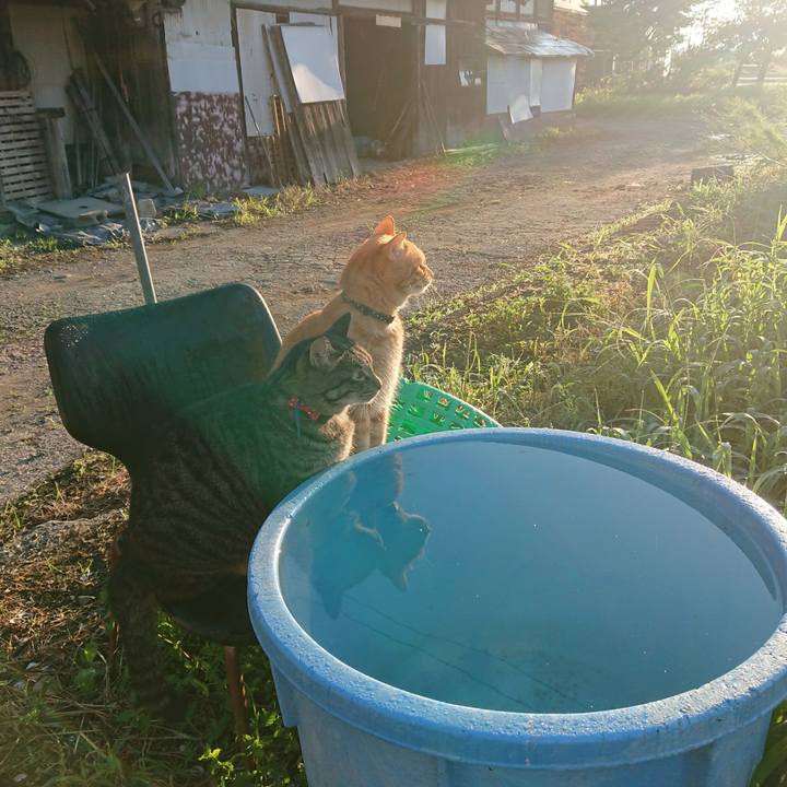 1f1f4d21 94ee 418b b300 bd30b61a9ade 1661116076914