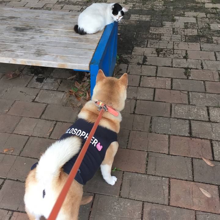 1f1fa364 d101 4f32 a1cb 045ce304531b 1613298393667