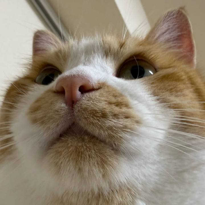 1f1fc2c9 c52b 448f 824e e90579a08303 1766228144031