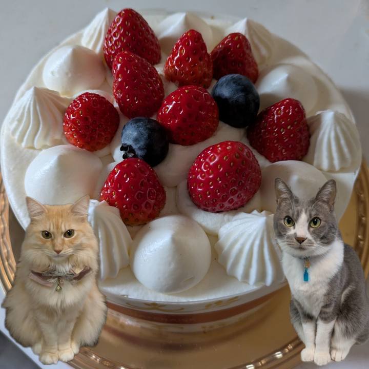 1f1fc79b 6f0e 4de8 b56e 4e6cdb831094 1732100741622