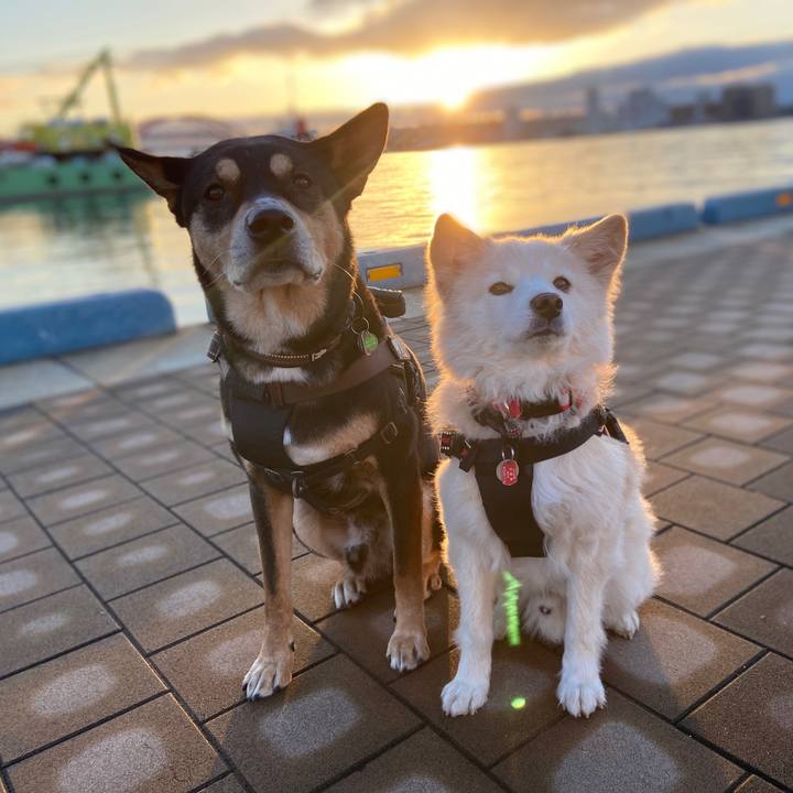 1f1fea70 ab95 43f4 b5e9 0469c108fe09 1705799259642