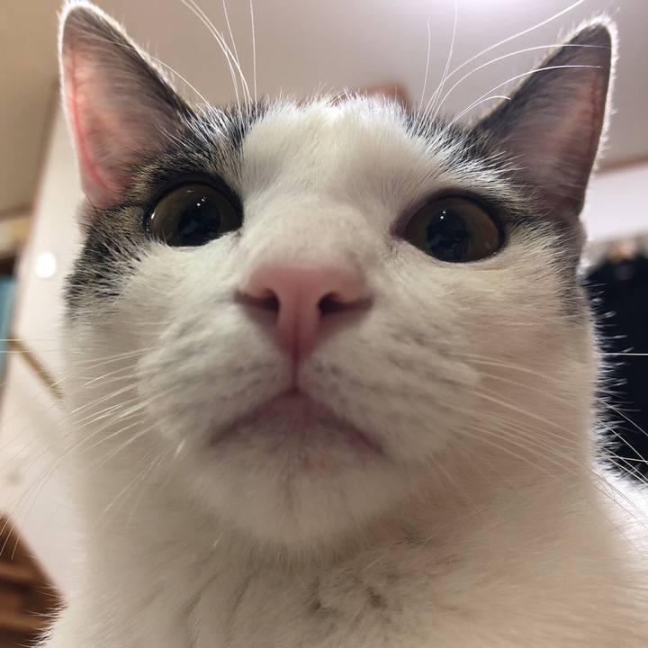 1f2012ce 49f4 4d92 a87a 5a01bd07ced2 1578134421080