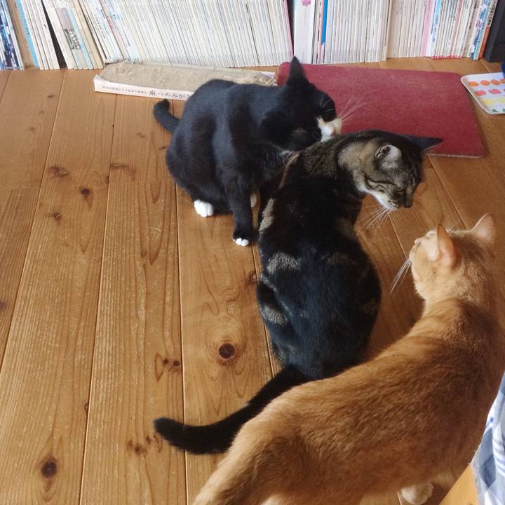 1f205394 4d6a 4d7d 9d99 4a817a6a38c0 1534293115045